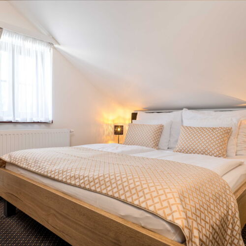 Camera dubla economy cu duș