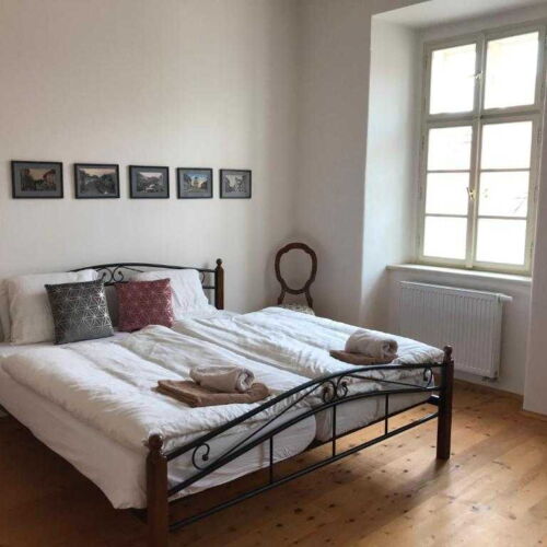 Pokoj se sprchou  s manželskou postelí (s možností přistýlky)