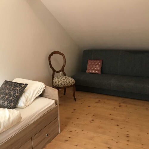 Pokoj se sprchou  pro 1 os. (s možností přistýlky)