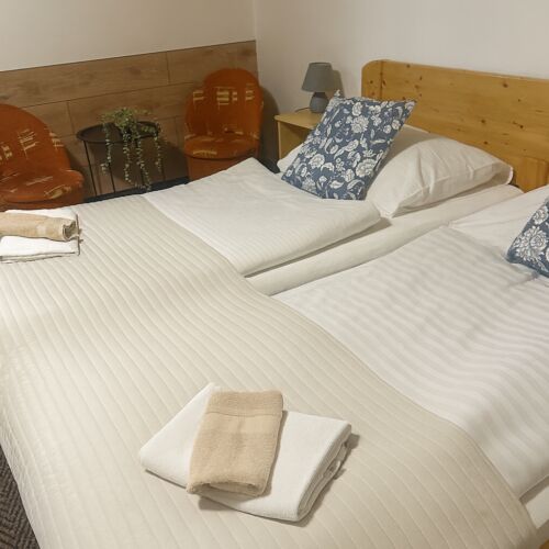 Standard Zweibettzimmer mit Dusche (Zusatzbett möglich)