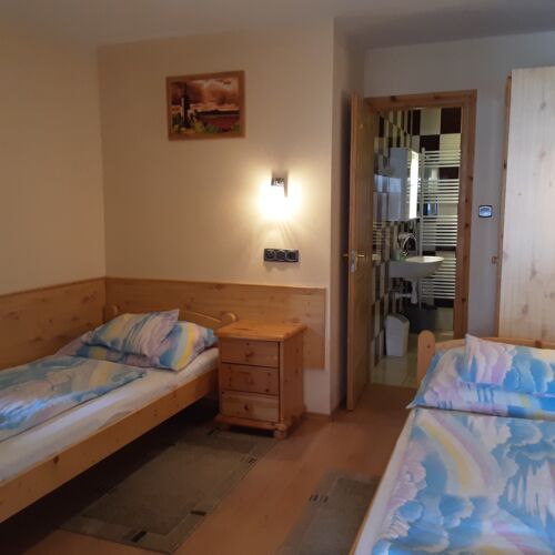 Pokój 2-osobowy z klimatyzacją z widokiem na zamek