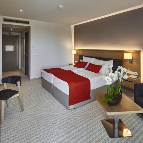 Pokoj pro 2 os. (s možností přistýlky)