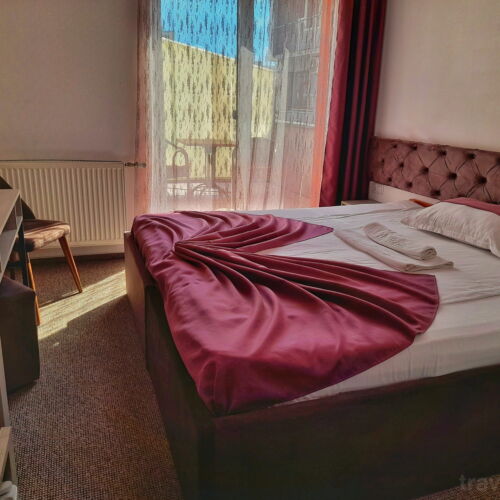 Camera dubla standard