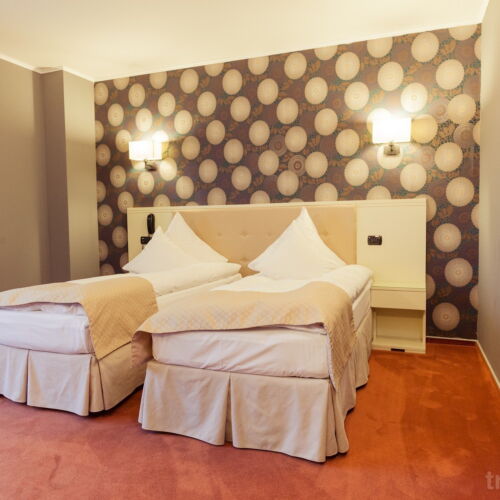 Camera twin standard