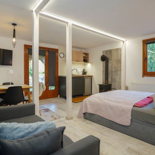 Apartament design cu terasă cu 1 camera pentru 4 pers.