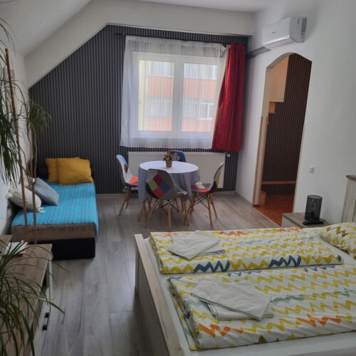 Camera dubla studio cu baie (se poate solicita pat suplimentar)