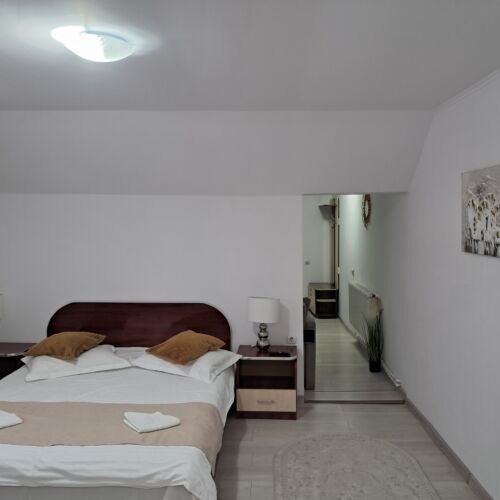 Camera twin business cu panoramă (se poate solicita pat suplimentar)