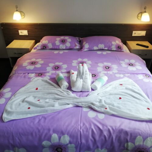 Standard  Apartman s manželskou postelí s 1 ložnicí