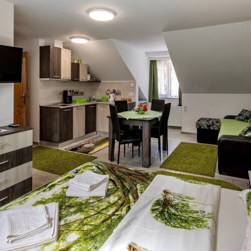 Studio Apartman s manželskou postelí s 1 ložnicí v podkroví