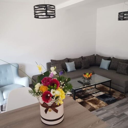 Apartament cu 1 camera pentru 4 pers. (se poate solicita pat suplimentar)