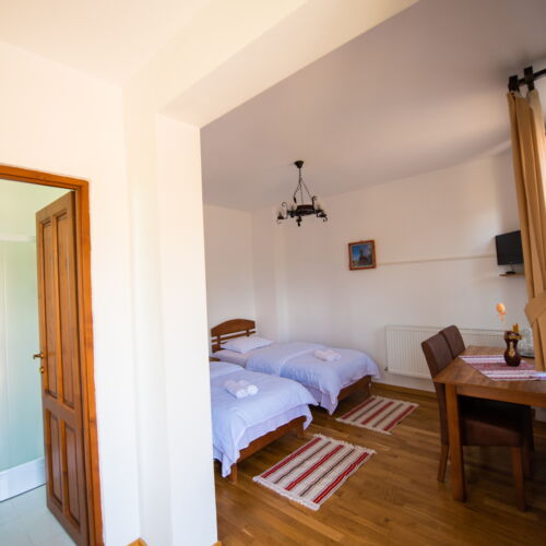 Camera twin la parter