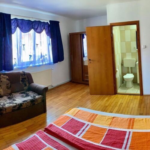 Camera dubla cu baie cu duș (se poate solicita pat suplimentar)