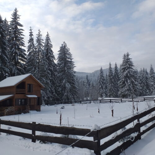 Domek weekendowy 10-osobowy 