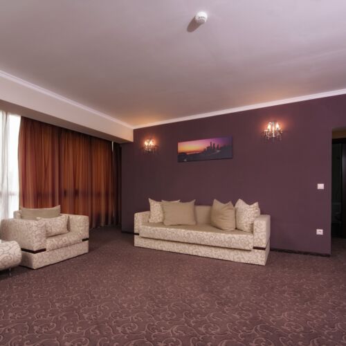 Business 1-Room Apartment for 2 Persons