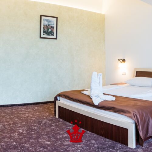 Camera dubla standard