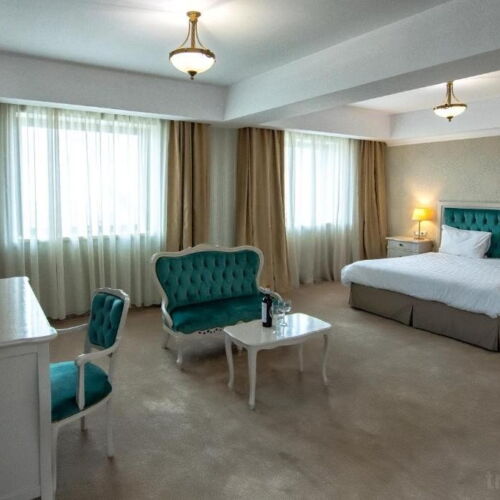 Camera dubla business