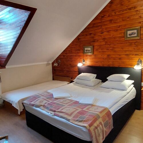 Camera tripla familial(ă) la mansardă