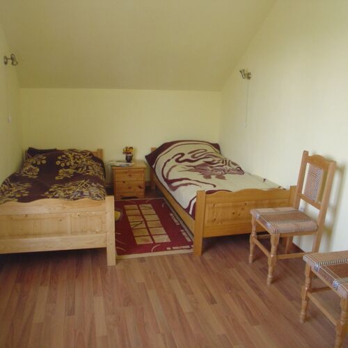 Camera twin mansardă tV cu ecran plat (se poate solicita pat suplimentar)