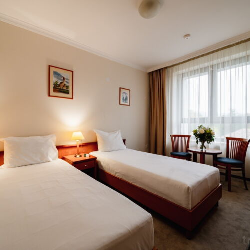 Camera twin standard