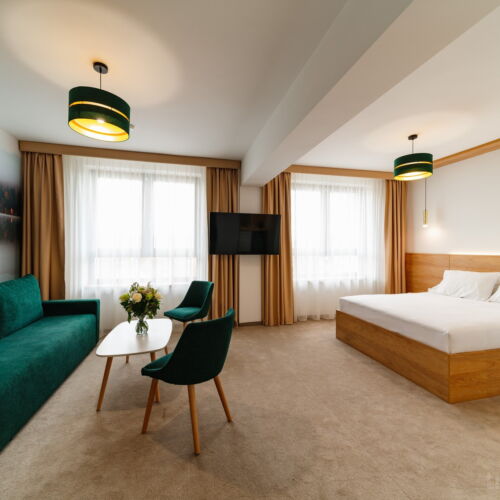 Apartament cu 1 camera pentru 3 pers.