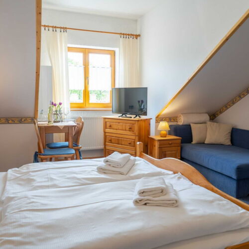 Camera twin cu duș (se poate solicita pat suplimentar)