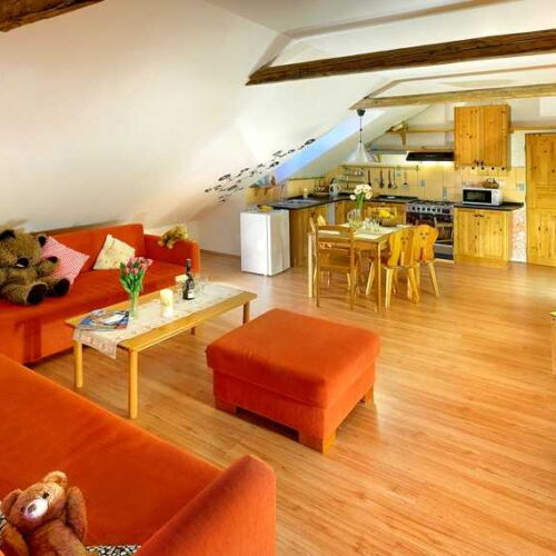 Camera cu duș cu chicinetă proprie pentru 7 pers. (se poate solicita pat suplimentar)