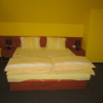 Camera twin cu duș cu balcon (se poate solicita pat suplimentar)