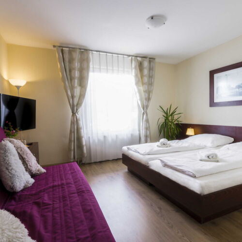 Pokój 3-osobowy z prysznicem