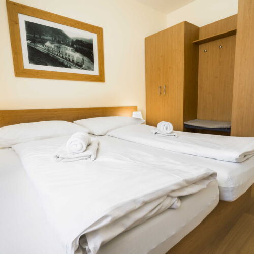 Apartament 2-osobowy Standard z prysznicem (możliwa dostawka)