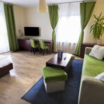Deluxe Apartment for 2 Persons with Kitchenette (extra beds available)