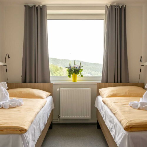 Standard  Pokoj pro 2 os. (s možností přistýlky)