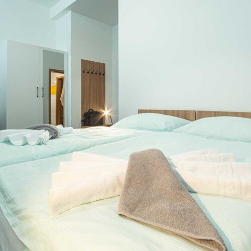 Pokoj se sprchou  s manželskou postelí (s možností přistýlky)