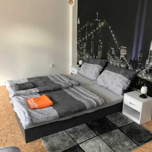 Pokoj s privátní koupelnou mimo apartmán s terasou pro 4 os.