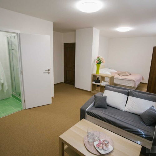 Apartman se sprchou se společnou kuchyňkou pro 2 os. (s možností přistýlky)