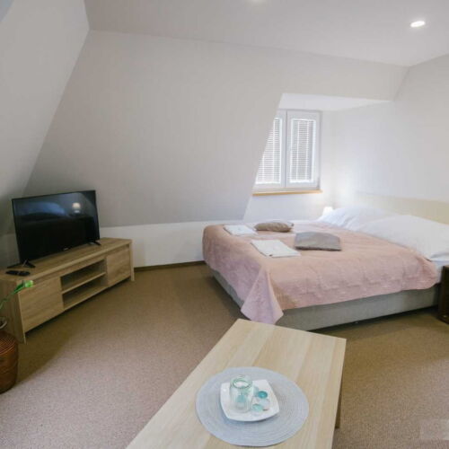 Apartman se sprchou s vlastní kuchyňkou pro 3 os. (s možností přistýlky)