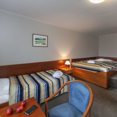 Standard Pokoj s koupelnou pro 3 os.