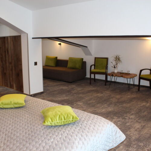 Suita cu 1 camera pentru 3 pers.