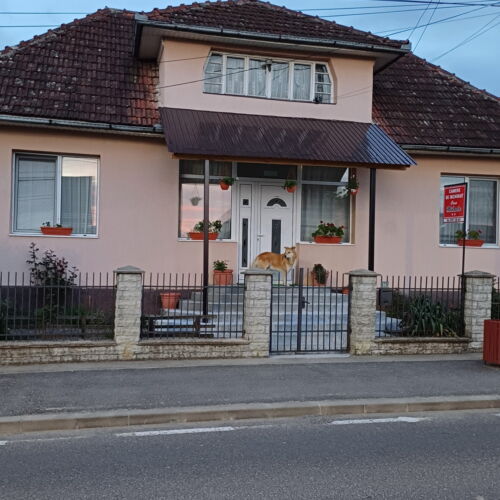 Casă de vacanță familial(ă) pentru 8 pers. (se inchirieaza doar integral)