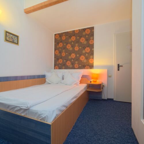 Camera dubla standard