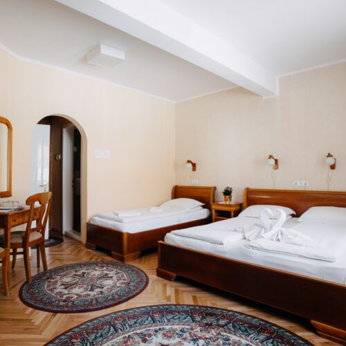 Camera tripla family