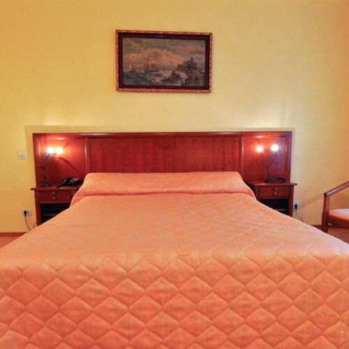 Camera dubla standard