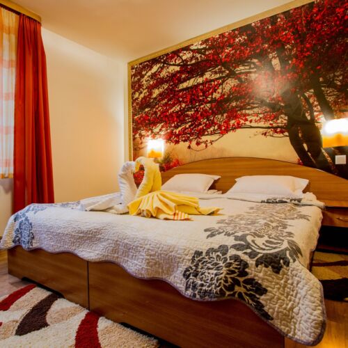 Camera twin standard accesibil(ă) persoanelor cu dizabilități