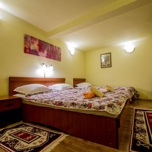 Camera tripla tourist cu baie