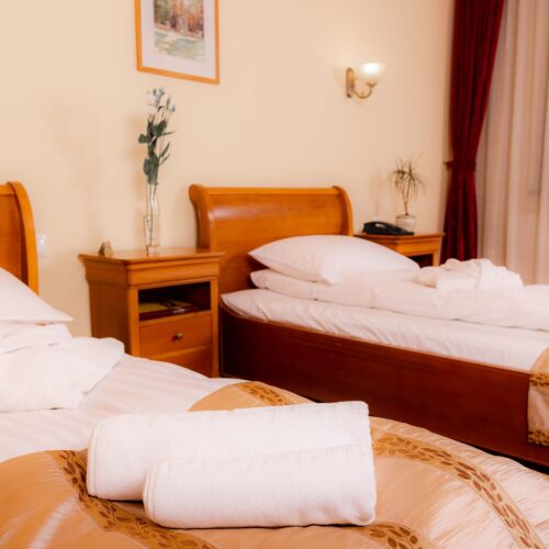 Camera  de 4 stele twin (se poate solicita pat suplimentar)