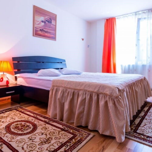 Camera dubla deluxe cu vedere spre munte