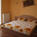 Premium Pokoj s terasou s manželskou postelí (s možností přistýlky)