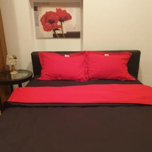 Camera dubla cu terasă