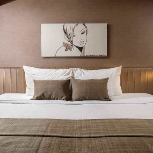 Camera dubla executive