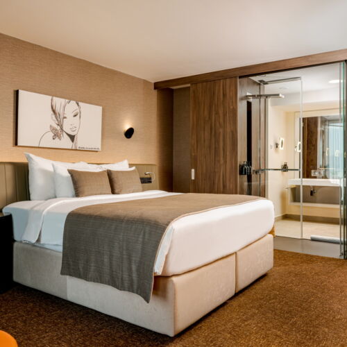 Camera dubla business