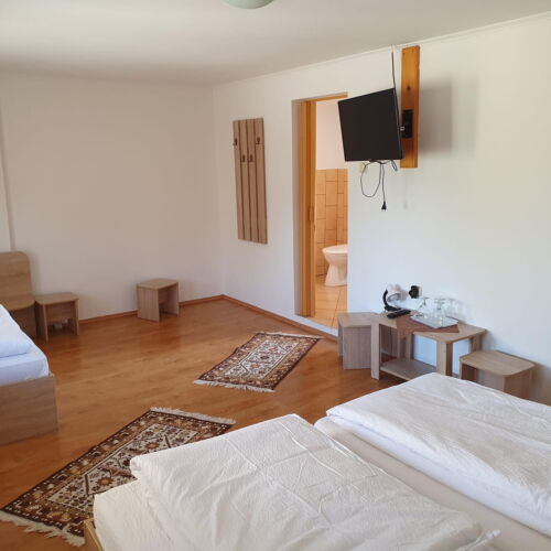 Camera tripla cu baie